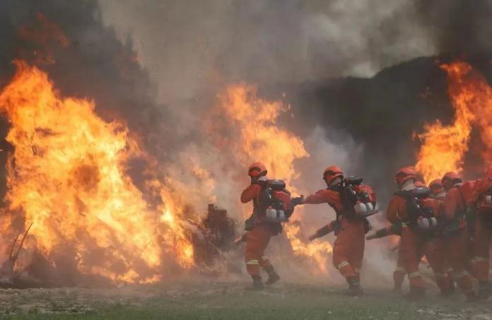 在移動餐廳帳篷里聚會體驗怎么樣？