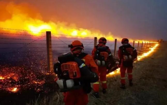 中蒙邊境線明火已被撲滅,為什么蒙古那么容易發生草原火災?